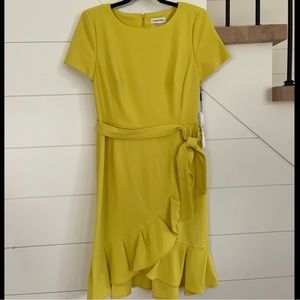 Calvin Klein Women Dress New